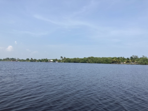 IMG-3569