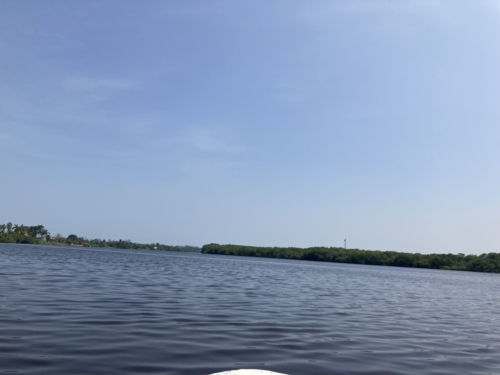 IMG 3616